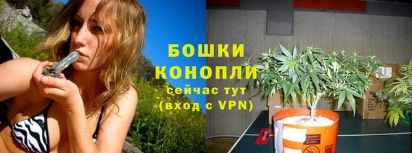 дурь Алексеевка