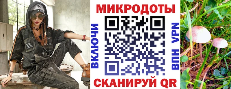 Галлюциногенные грибы мицелий  Красный Кут 